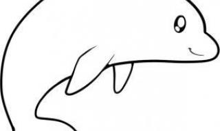 3-6岁儿童简笔画